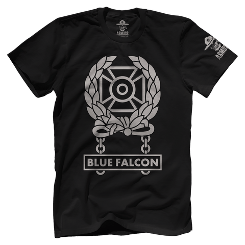 Blue Falcon Expert Badge