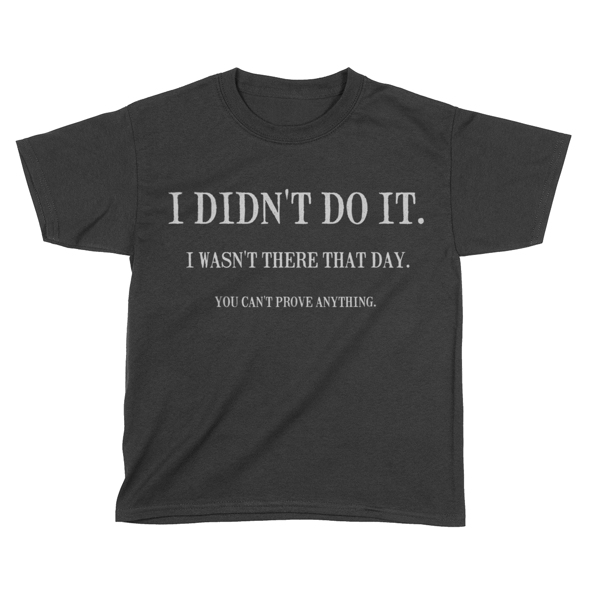 I Didn't Do It (Kids)