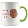 Trump I Wouldn't Deport You KISS - Coffee Mug - old