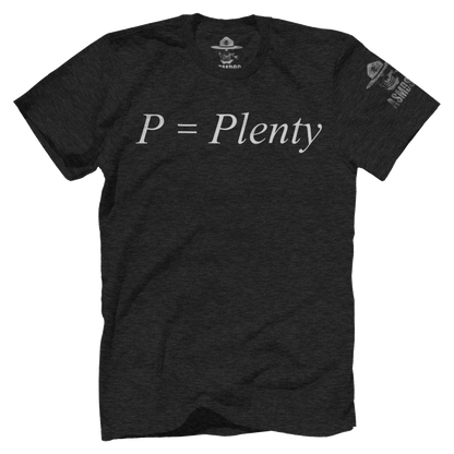 P Equals Plenty