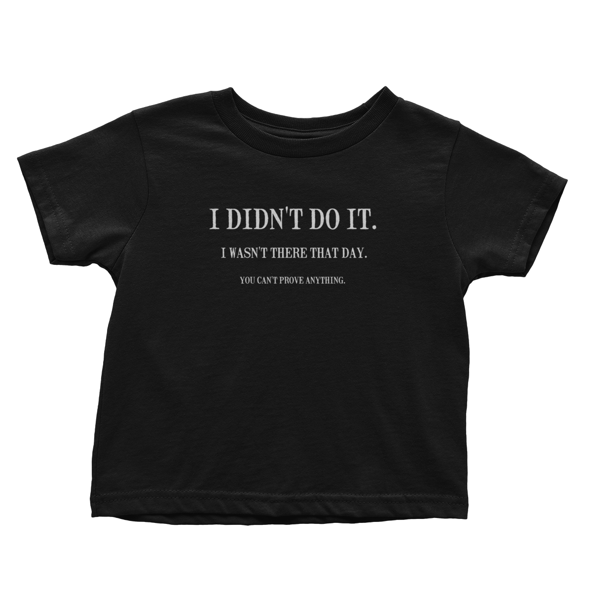 I Didn't Do It (Toddlers)