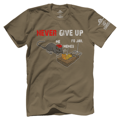 Never Give Up