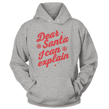 Dear Santa I Can Explain (Ladies)