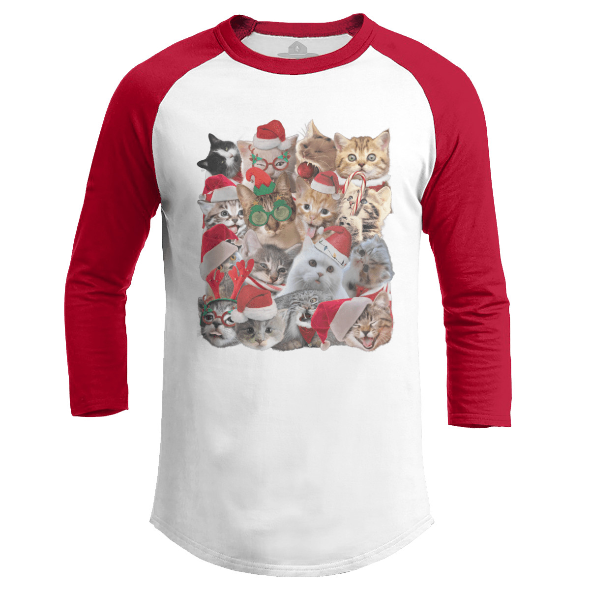 Cat Christmas