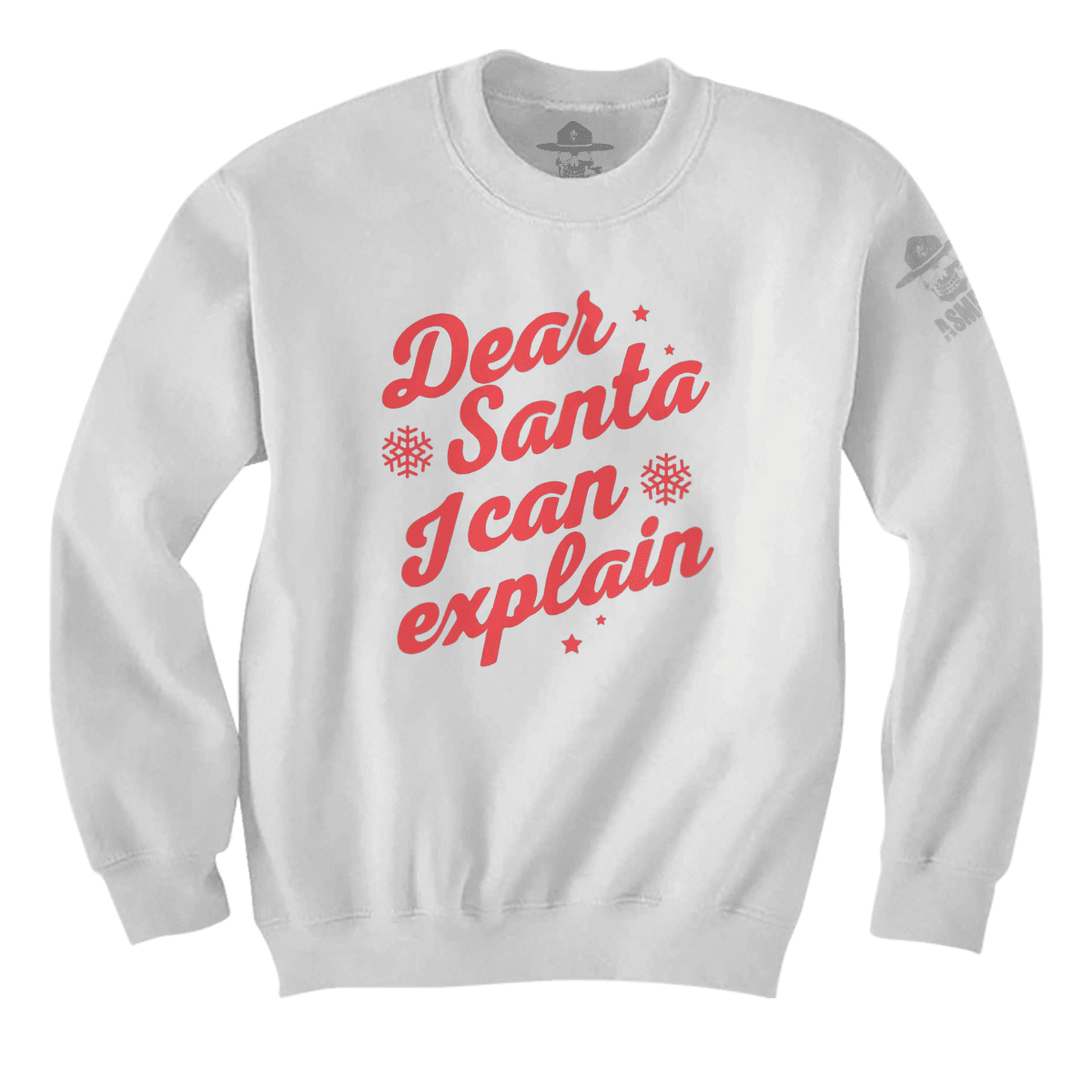 Dear Santa I Can Explain