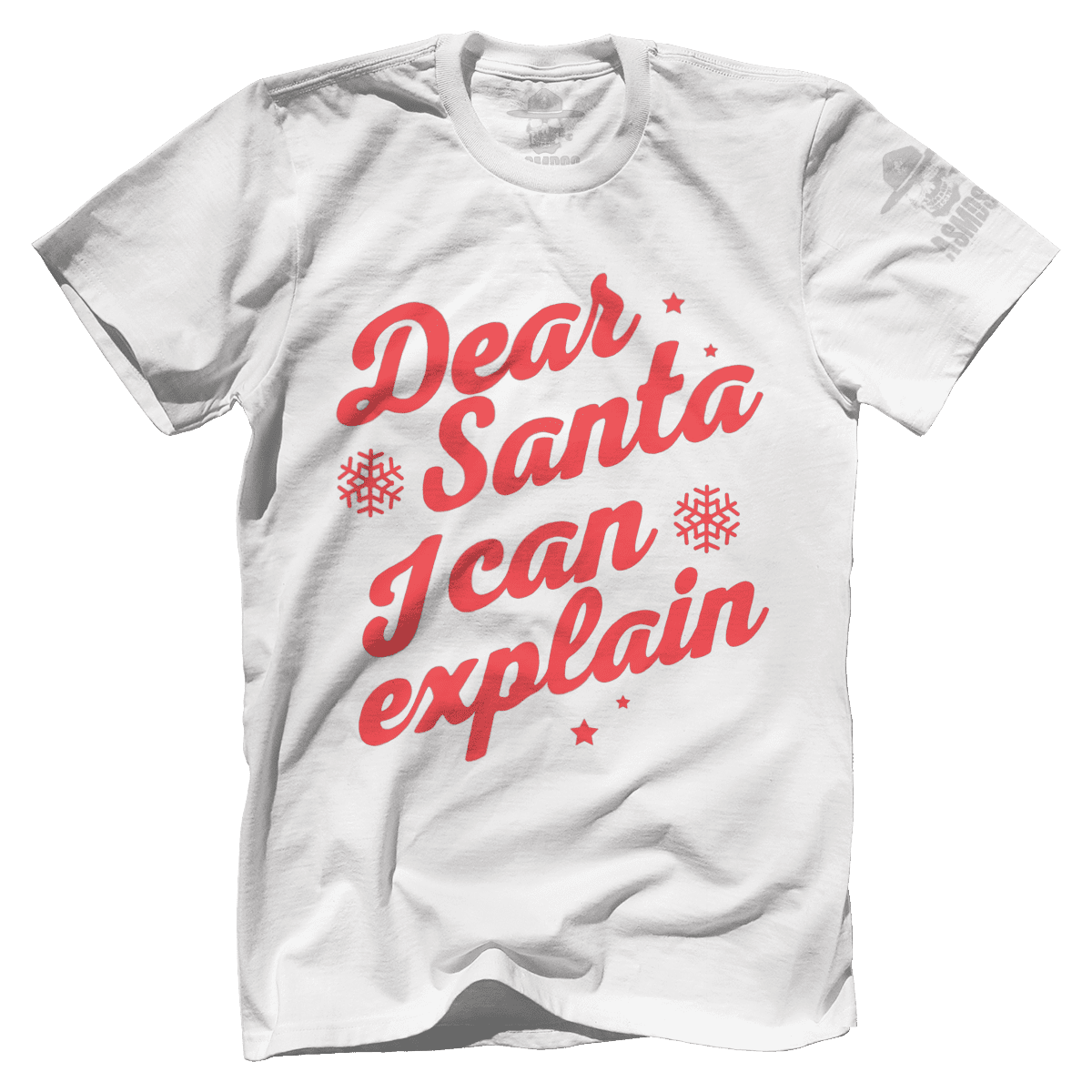 Dear Santa I Can Explain